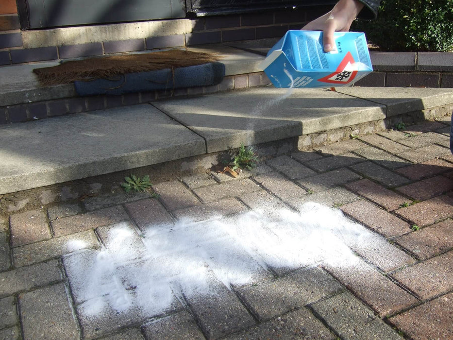 Rock Salt Carton - Yellow Shield